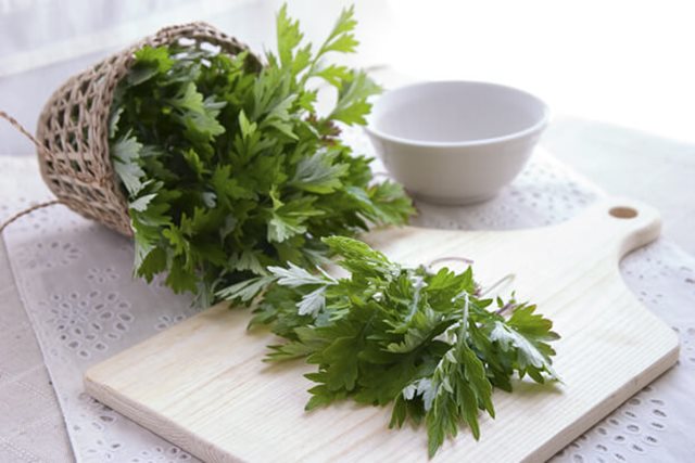 Ngải cứu – Bí quyết an thai hiệu quả mà không phải ai cũng biết